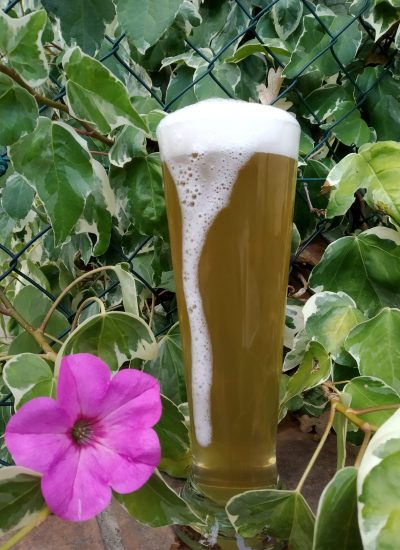 Blonde_Lager
